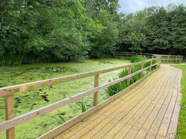 Boardwalk at Pond House